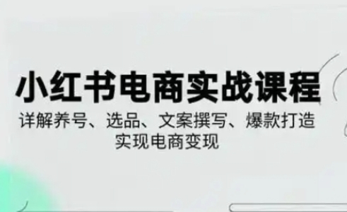 小红书从0-1实操课(2023-2025)，详解养号、选品、文案撰写、爆款打造实现电商变现-无名社区-24小时自助低价投流平台