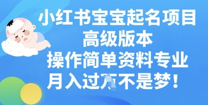 小红书宝宝起名项目高级版本，操作简单，资料专业，月入过W-无名社区-24小时自助低价投流平台