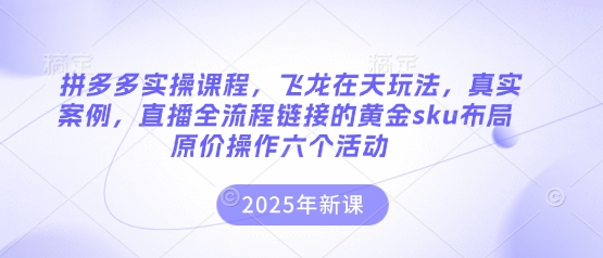 拼多多实操课程，飞龙在天玩法，真实案例，直播全流程链接的黄金sku布局原价操作六个活动-无名社区-24小时自助低价投流平台