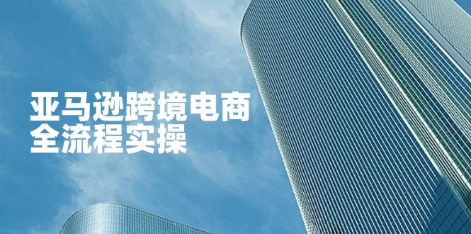 （14252期）亚马逊跨境电商全流程实操，教你从零开始，掌握店铺运营与广告技巧-无名社区-24小时自助低价投流平台