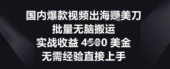 国内爆款视频出海挣美刀，批量无脑搬运，实战收益4.5k，无需经验直接上手-无名社区-24小时自助低价投流平台