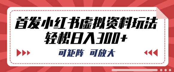 首发小红书虚拟资料玩法，可矩阵，可放大，轻松日入3张-无名社区-24小时自助低价投流平台