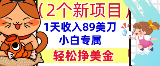 2个新项目，轻松挣美金， 1天收入89美刀，小白专属，干货分享-无名社区-24小时自助低价投流平台