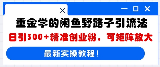 重金学的闲鱼野路子引流法，日引300+精准创业粉，可矩阵放大-无名社区-24小时自助低价投流平台
