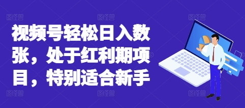 视频号轻松日入数张，处于红利期项目，特别适合新手-无名社区-24小时自助低价投流平台
