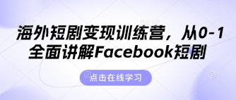 海外短剧变现训练营，从0-1全面讲解Facebook短剧-无名社区-24小时自助低价投流平台