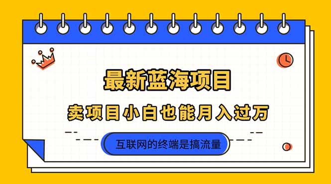 （14289期）2025年最新蓝海项目，卖项目小白也能月入过万-无名社区-24小时自助低价投流平台