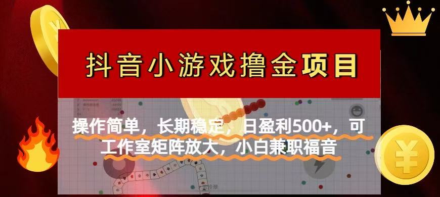 （14290期）【抖音小游戏发行人计划项目】操作简单，长期稳定，日盈利500+，可工作...-无名社区-24小时自助低价投流平台