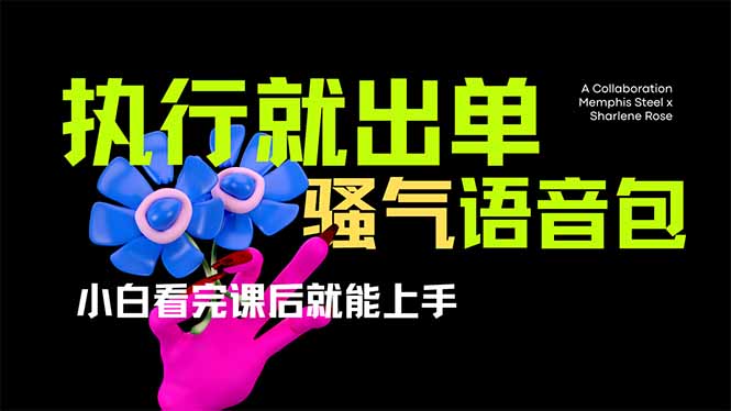 （14170期）爆火全网的开车导航骚气语音包,只要执行就出单，小白看完课程就能实操...-无名社区-24小时自助低价投流平台