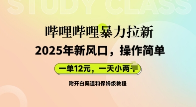 哔哩哔哩暴力拉新：2025年新风口，一单12元，一天数张(附开白渠道和保姆级教程)-无名社区-24小时自助低价投流平台