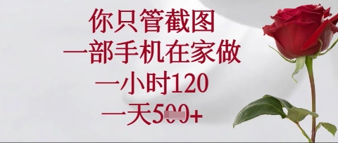 你只管截图，一部手机在家操作，一小时120.一天5张【揭秘】-无名社区-24小时自助低价投流平台